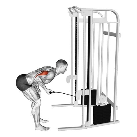 tricep kickbacks cable|Cable Tricep Kickback